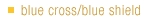 Blue Cross/Blue Shield